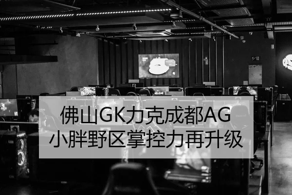 佛山GK力克成都AG 小胖野区掌控力再升级